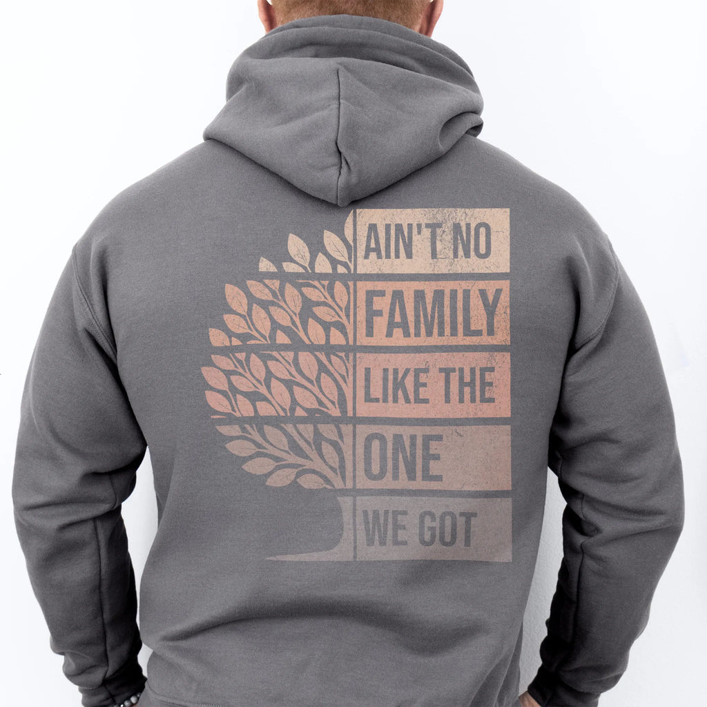 Charcoal Oakley June hoodie oversized back print Ain’t No Family Like the One We Got with tree graphic