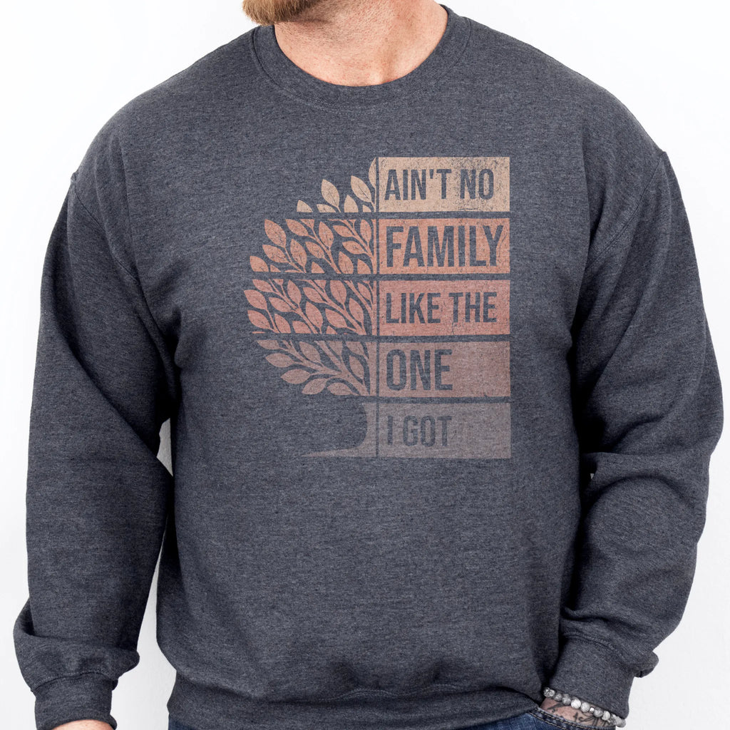 Dark Heather Oakley June Sweatshirt – front only oversized tree graphic with text Ain’t No Family Like the One I Got, cozy unisex crewneck