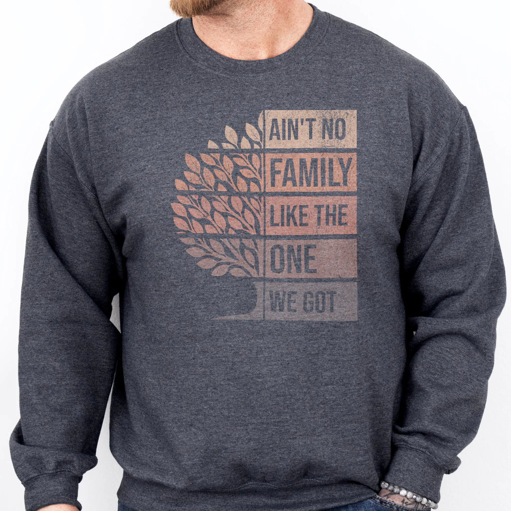 Dark Heather Oakley June sweatshirt bold front print Ain’t No Family Like the One We Got with tree graphic