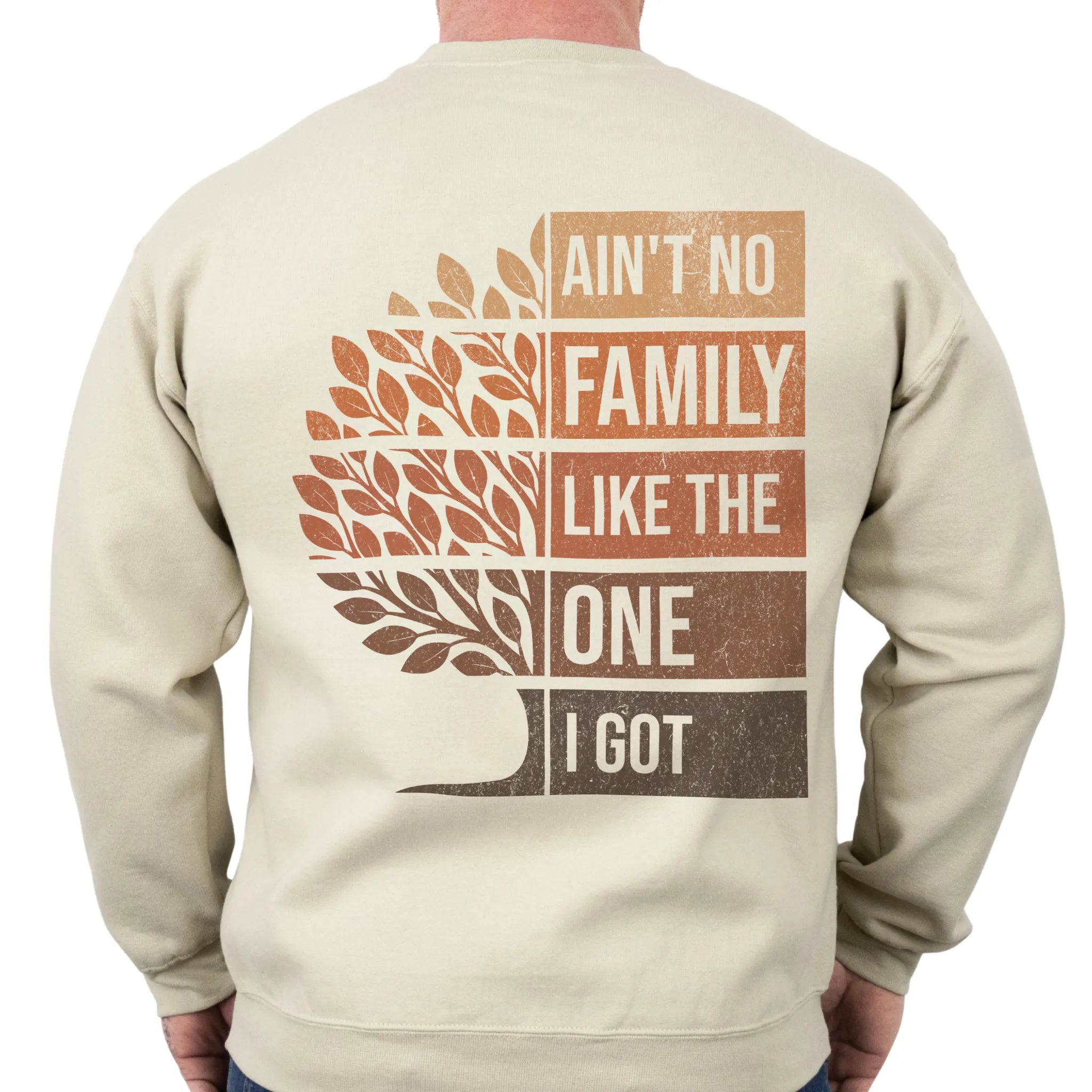 Sand Oakley June Sweatshirt – oversized back print Ain’t No Family Like the One I Got with distressed retro gradient tree design