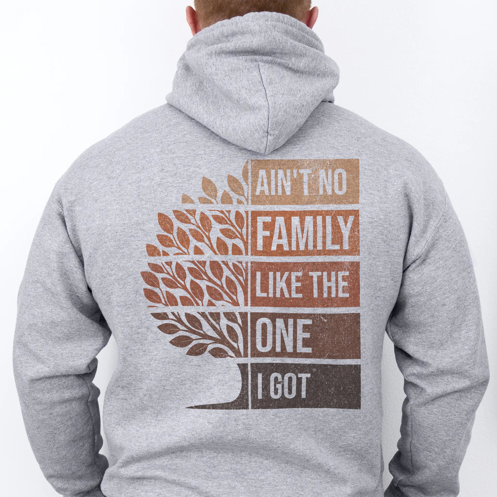 Sport Grey Oakley June Hoodie – oversized back print Ain’t No Family Like the One I Got with distressed tree design